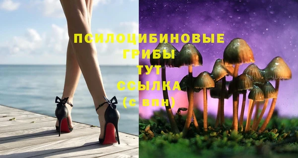 стаф Лихославль