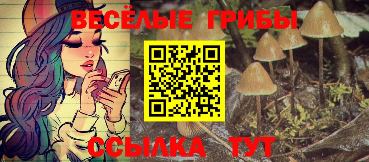 Псилоцибиновые грибы Psilocybine cubensis  Вход с VPN  Псилоцибиновые грибы MAGIC MUSHROOMS  Альметьевск 